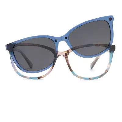 Pioneers 2421 65D C2 54 + Clip pol