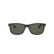 Ray Ban 4202 606971 55 image number null