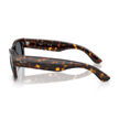 Ray Ban 0832S 902/R5 52 image number null