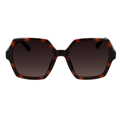 Calvin Klein CKJ21629S 240 55