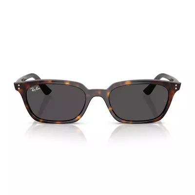 Ray Ban 4456 135987 53