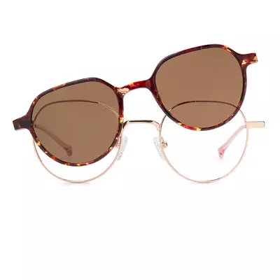 Pioneers 2421 32S C2 49 + Clip pol
