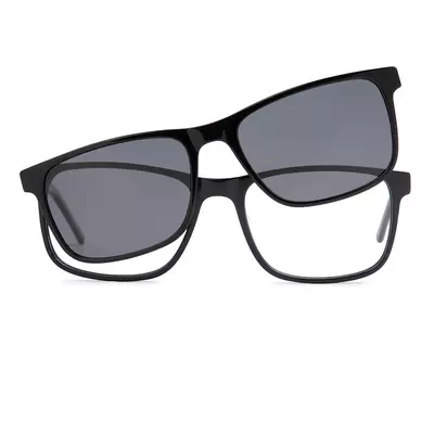 Pioneers 2421 02 C1 54 + Clip pol