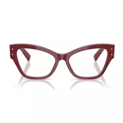 Dolce & Gabbana  3404 3442 54
