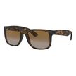 Ray Ban 4165 865/T5 55 image number null