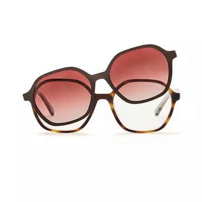 Pioneers 2421 006 C2 53 + Clip pol