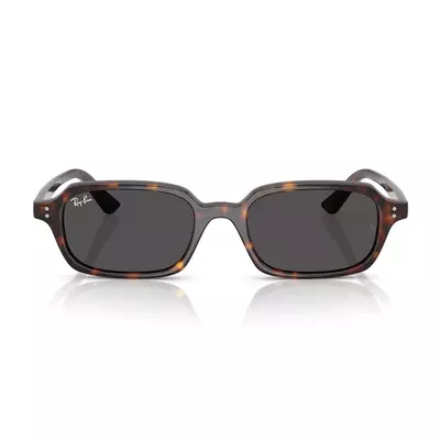 Ray Ban 4455 135987 52