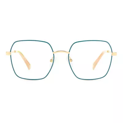 Polaroid D530 OGA 54