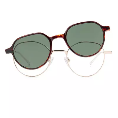 Pioneers 2421 32S C1 49 + Clip pol