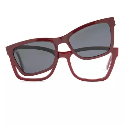 Pioneers 2421 45 C2 54 + Clip