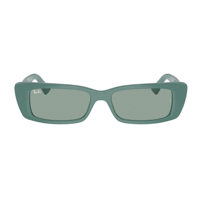 Ray Ban 4425 667787 54