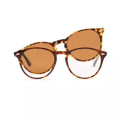 Pioneers 2421 49 C2 51 + Clip pol