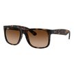 Ray Ban 4165 710/13 55 image number null