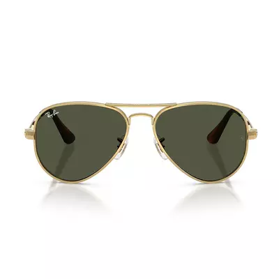 Ray Ban 3925 001/31 58