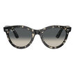 Ray Ban 2241 133371 54 image number null