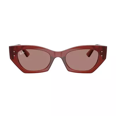 Ray Ban 4430 680973 49