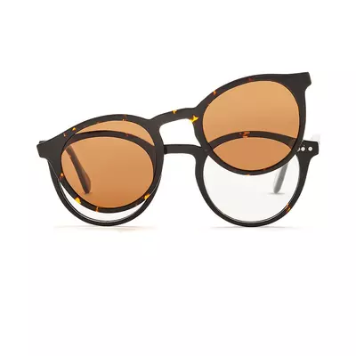 Pioneers 2421 29 + clip solar