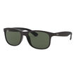 Ray Ban 4202 606971 55 image number null