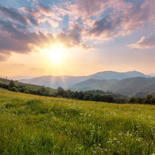 Exposici&oacute;n a la luz natural