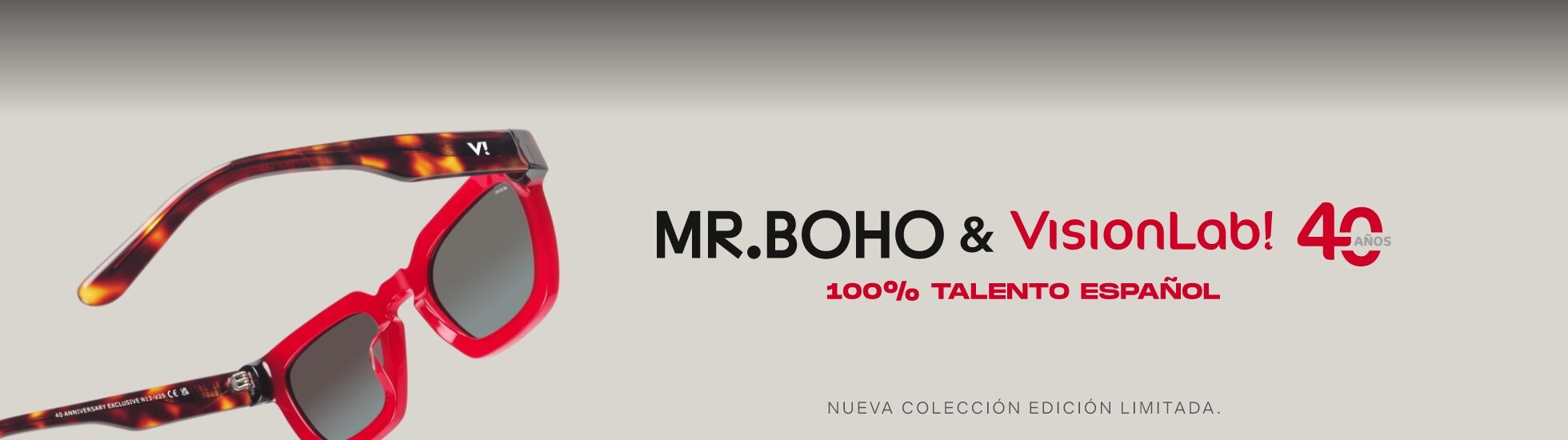 MR. Boho & VisionLab!