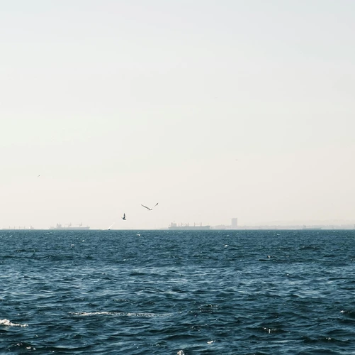 Dificultad para ver objetos lejanos