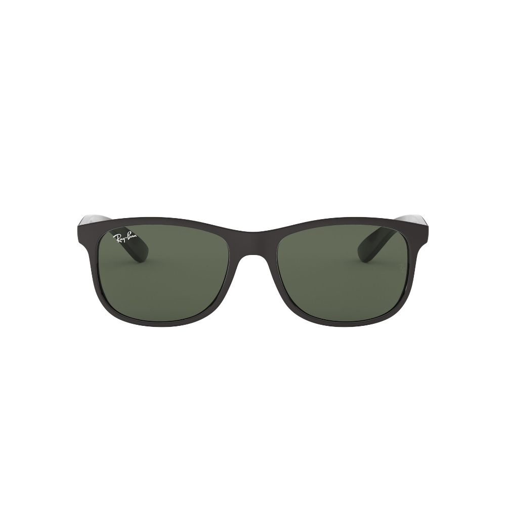 Ray Ban 4202 606971 55 image number null