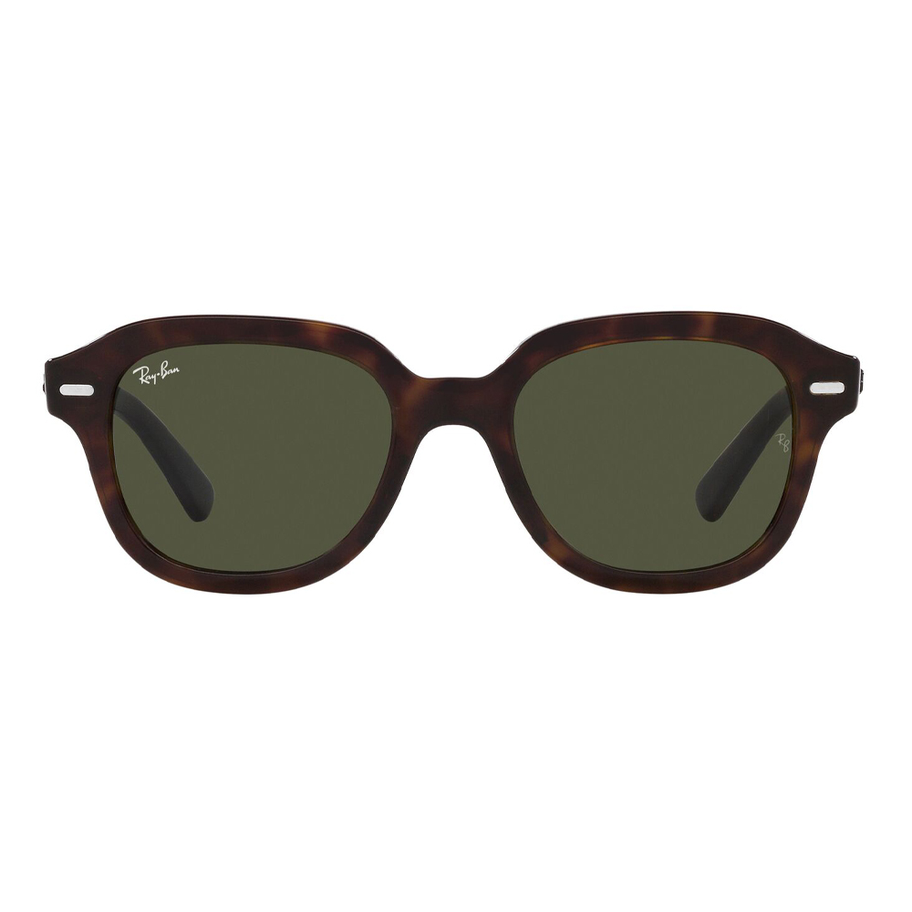 Ray Ban Erik 4398