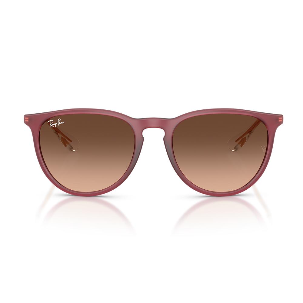 Ray Ban Erika 4171