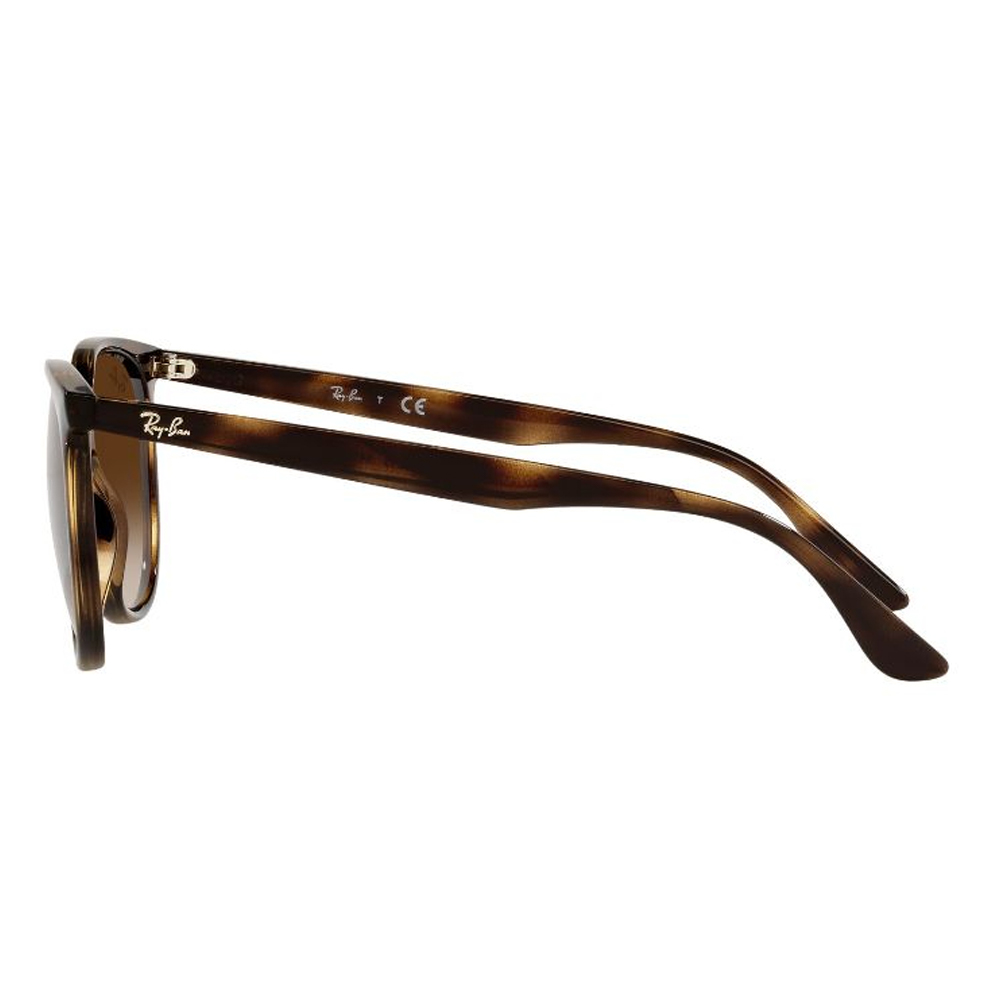 Ray Ban 4378 710/13 54 image number null