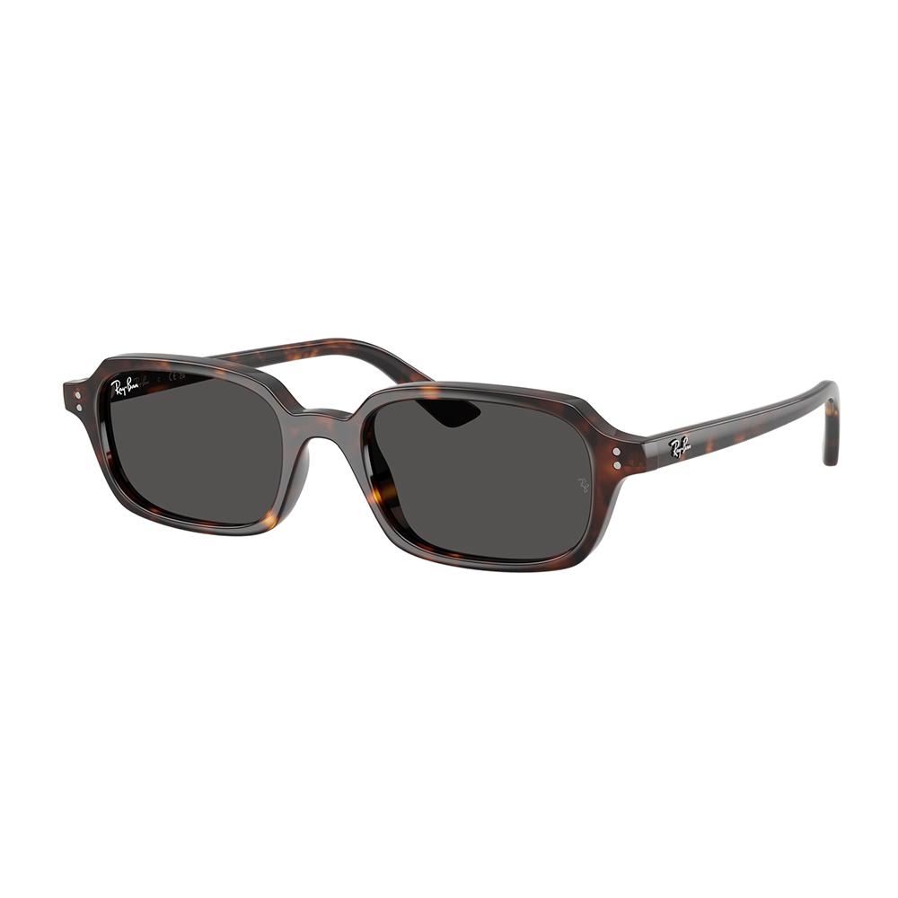 Ray Ban 4455 135987 52 image number null