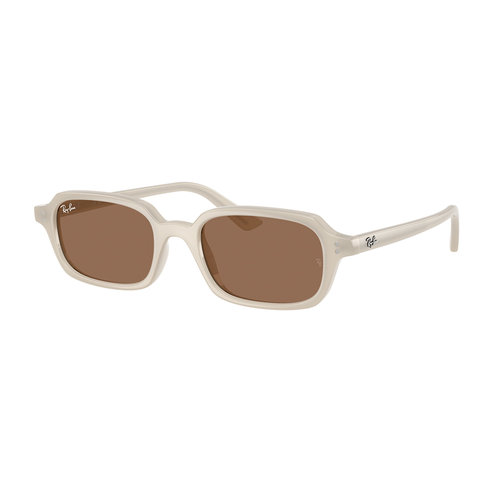 Ray Ban 4455 680873 52 image number null