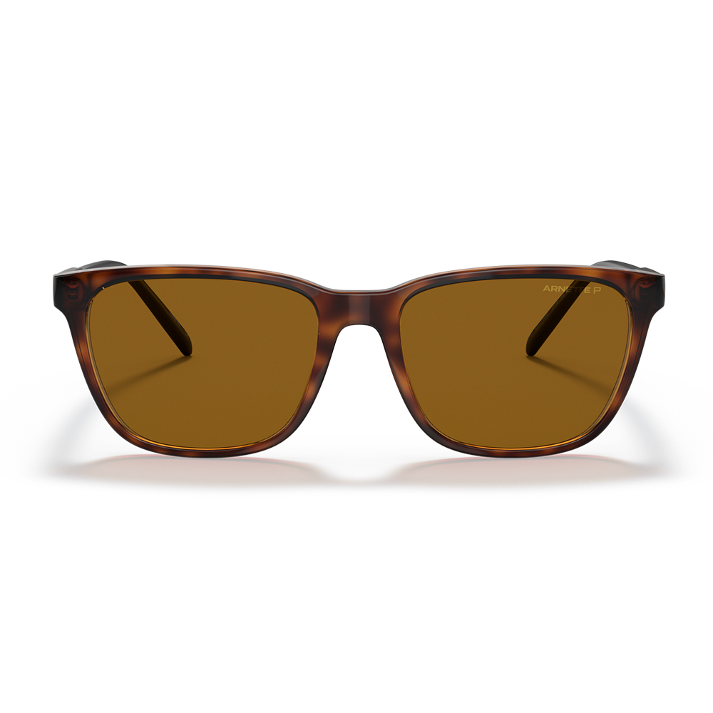 Arnette Cortex 4291