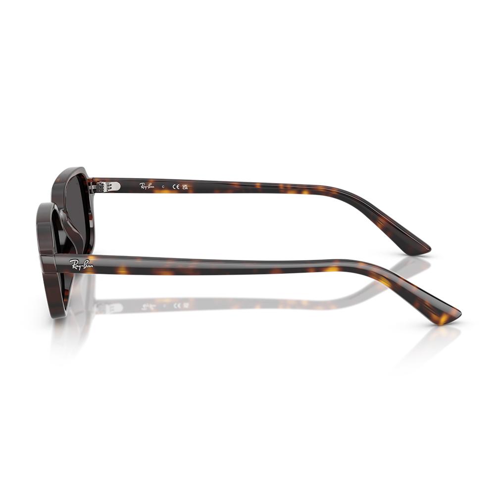 Ray Ban 4455 135987 52 image number null