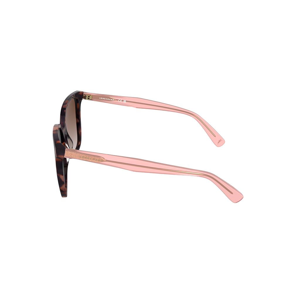 Longchamp 807S 690 55 image number null