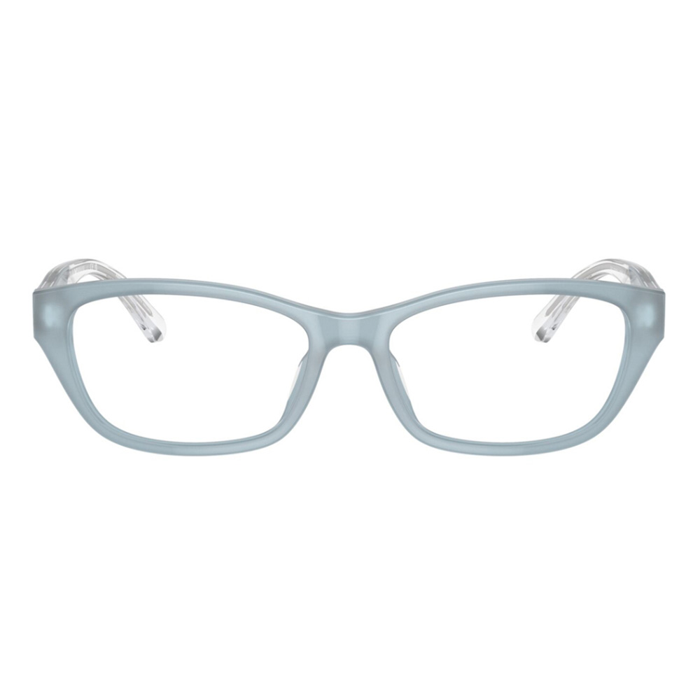 Emporio Armani 3238U 6096 54 Emporio Armani 3238U 6096 54