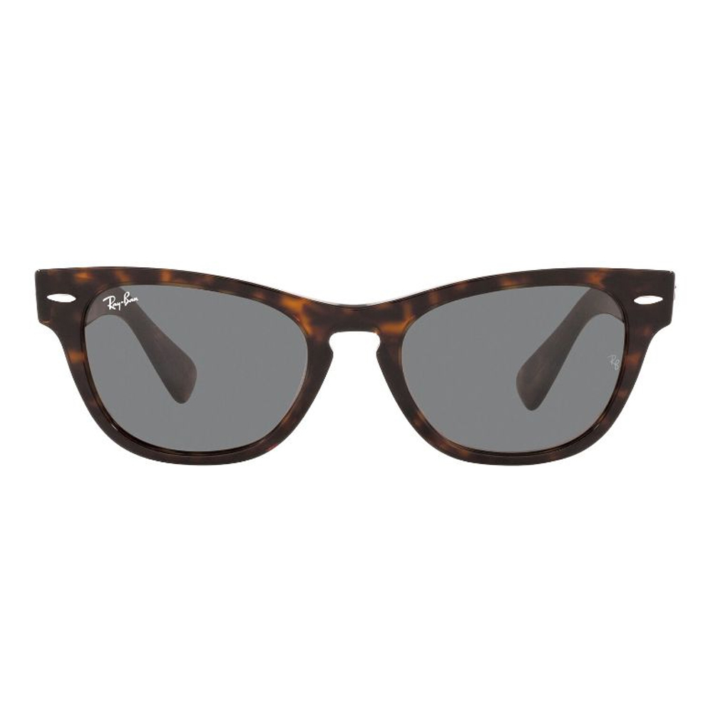 Ray Ban Laramie 2201