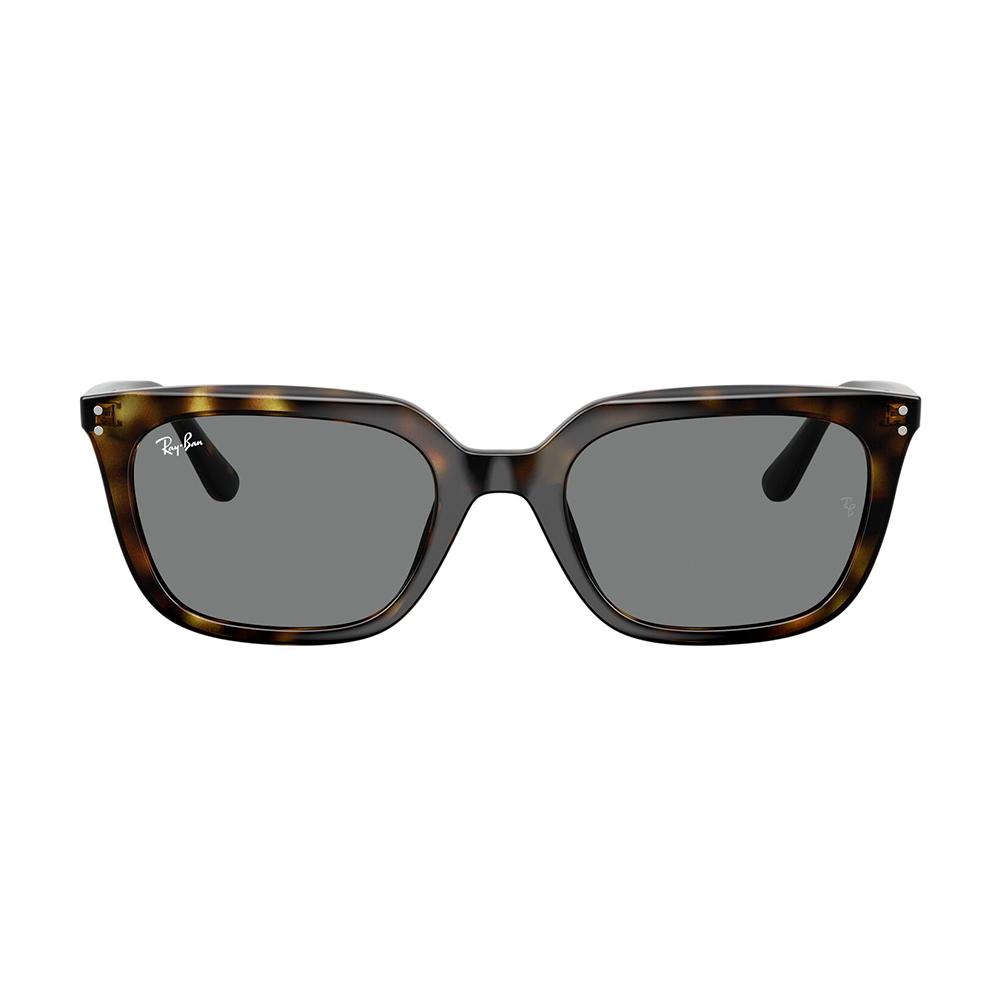 Ray Ban 4439D 710/87 54 image number null