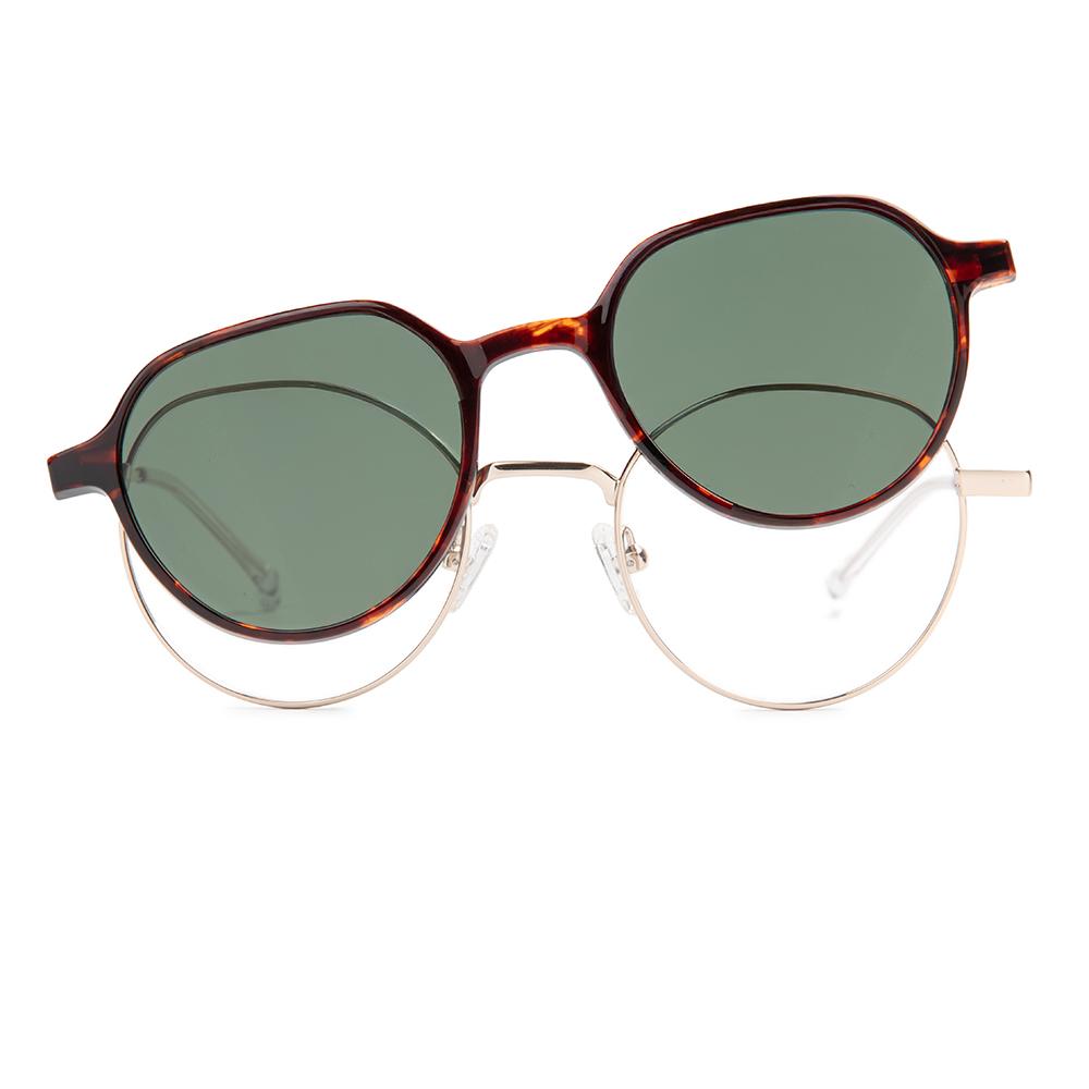 Pioneers 2421 32S C1 49 + Clip pol