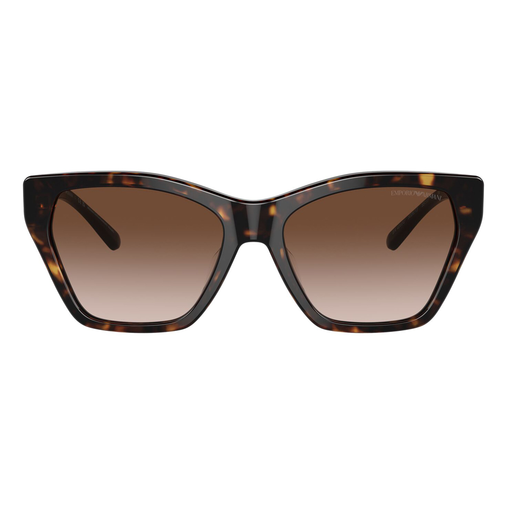 Emporio Armani 4203U 502613 55 image number null