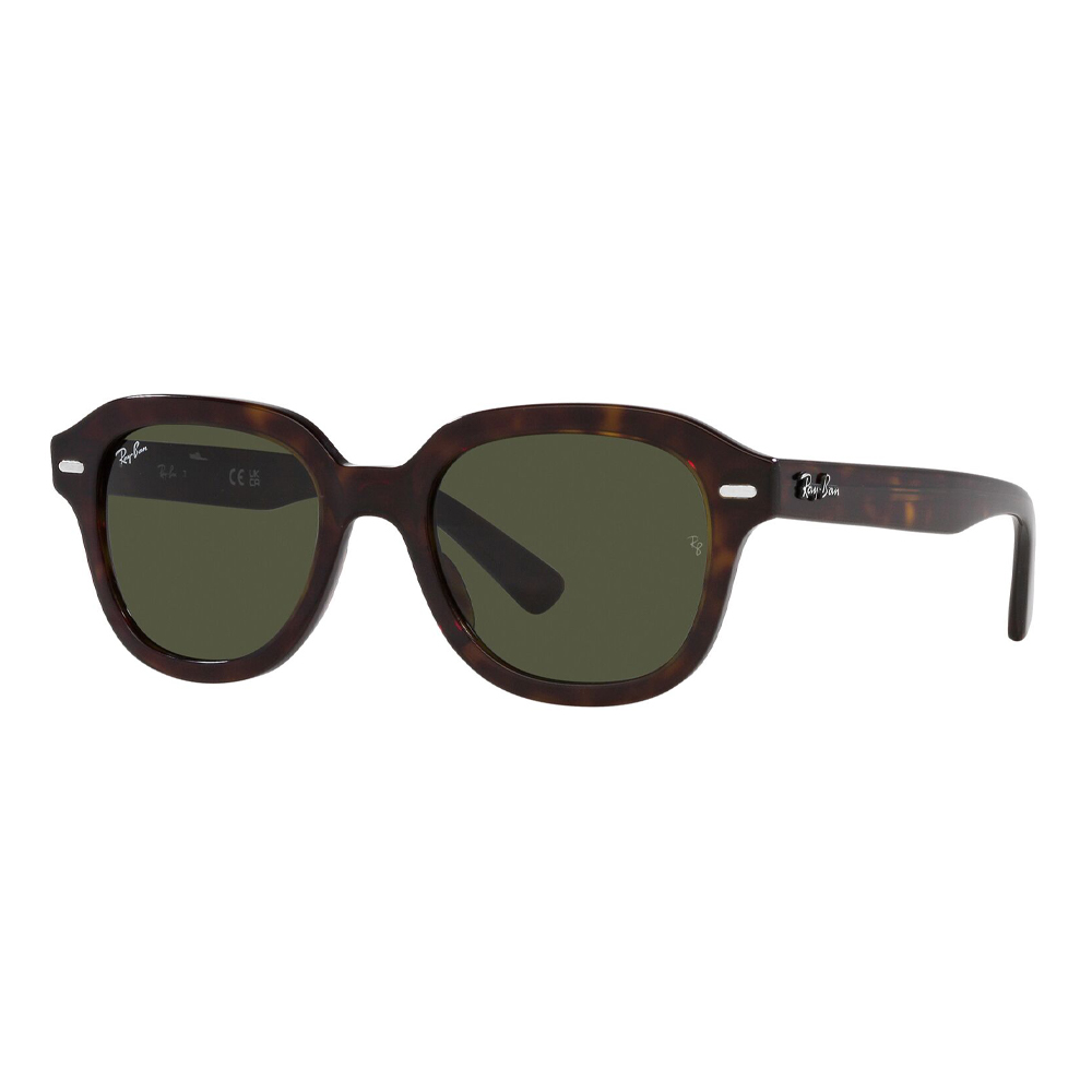 Ray Ban 4398 902/31 53 image number null