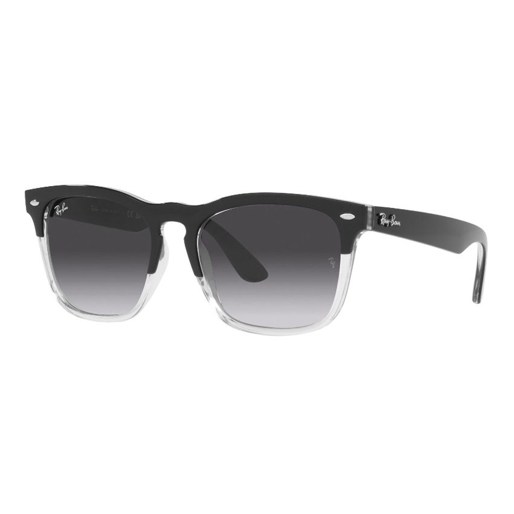 Gafas de sol RAY BAN 4487 66308G 54 VisionLab