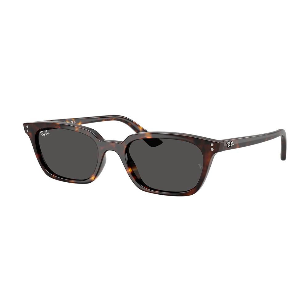 Ray Ban 4456 135987 53 image number null