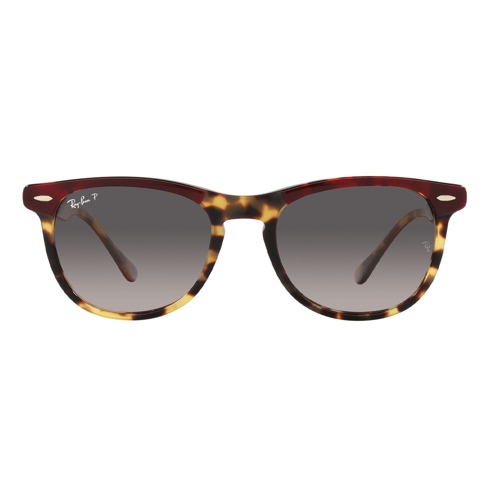 Ray Ban Eagle Eye 2398