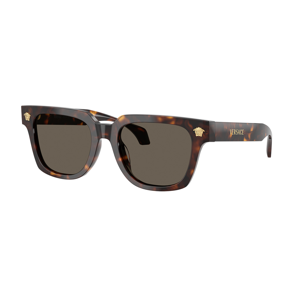 Versace 4510U 108/3 52 image number null