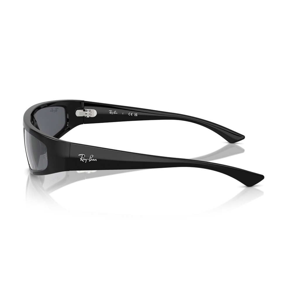 Ray Ban 4432 66776V 59 image number null