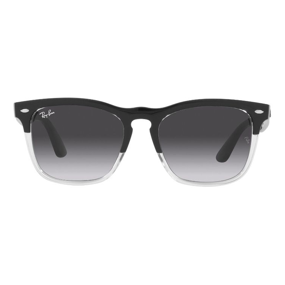 Ray Ban Steve 4487